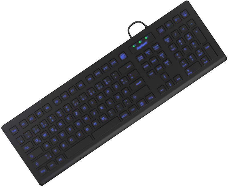 KeySonic KSK-8031INEL-B (DE) klawiatura Przemysłowy USB QWERTZ Niemiecki Czarny