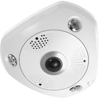 Kamera kopułkowa typu rybie oko LevelOne IPCam 12MP/H.265/IR/ 12W/PoE/IP67