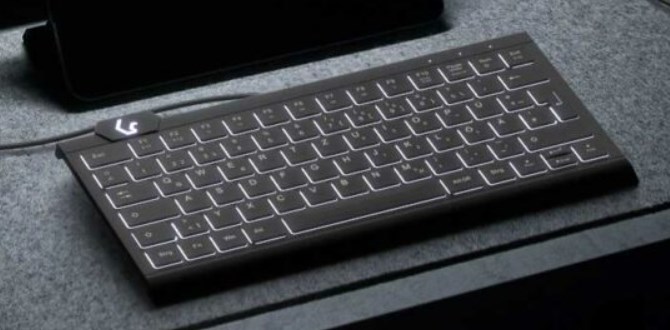 KeySonic KSK-5010ELC (DE) klawiatura Dom USB QWERTZ Niemiecki Czarny