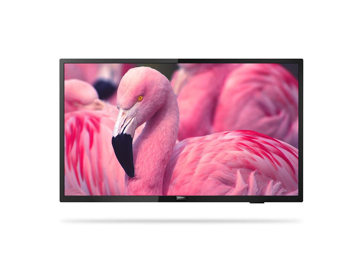 Telewizor hotelowy PHILIPS 43HFL4014/12 108,0 cm (43") PrimeSuite