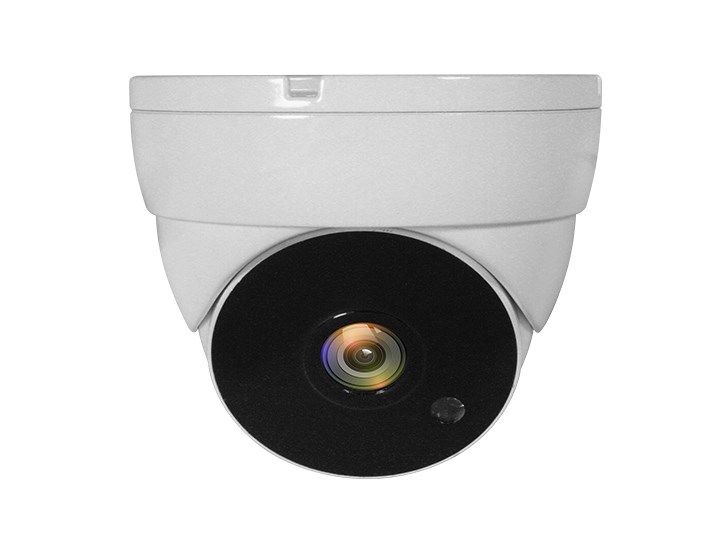 LevelOne ACS-5302 kamera przemysłowa Kopułowa Kamera bezpieczeństwa CCTV Wewnętrzna / zewnętrzna Sufit