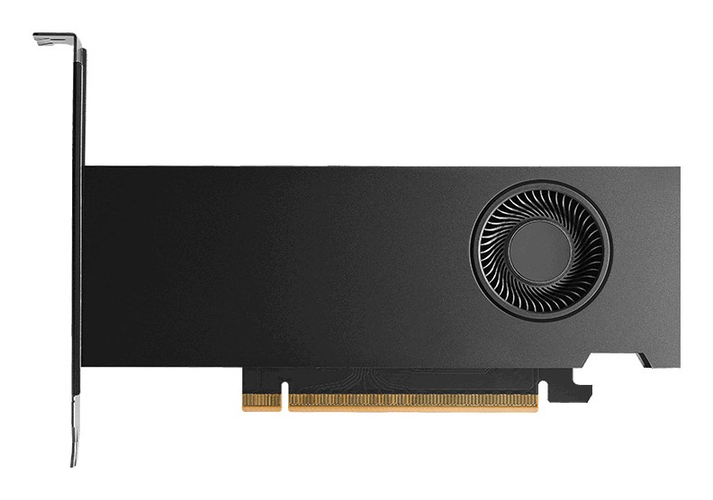 Karta graficzna PNY NVIDIA RTX PRO 2000 Blackwell 16GB GDDR7 VCNRTXPRO2000-SB