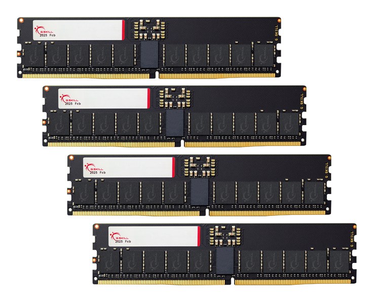 G.SKILL ZETA T5 NEO AMD DDR5 ECC-R 4X64GB 6400MHZ CL36 F5-6400R3644E64GQ4-T5N