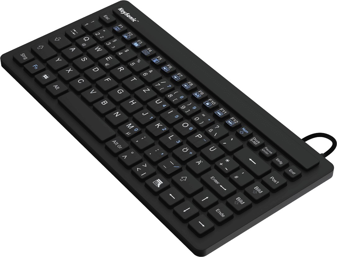KeySonic KSK-3230IN (US) klawiatura Przemysłowy USB QWERTY US English Czarny